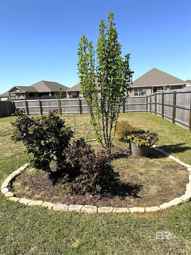 view of yard with a fenced backyard