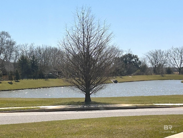 view of water feature