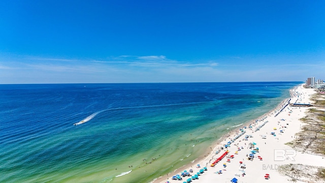 533 E Beach Blvd Unit 1905, Gulf Shores, AL 36542 - water view featuring local beach