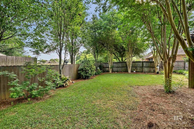 view of yard featuring a fenced backyard
