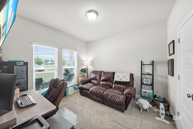 9365 Eiland Dr, Foley, AL 36535 - view of carpeted office