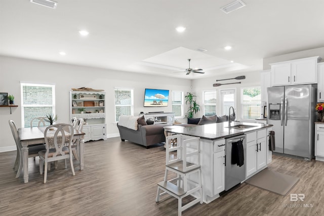 9365 Eiland Dr, Foley, AL 36535 - kitchen featuring stainless steel appliances, a sink, a raised ceiling, ceiling fan, and dark wood-type flooring