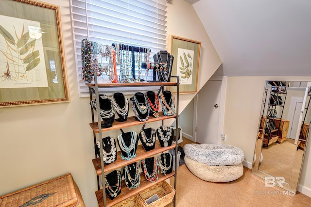 spacious closet featuring vaulted ceiling and carpet floors