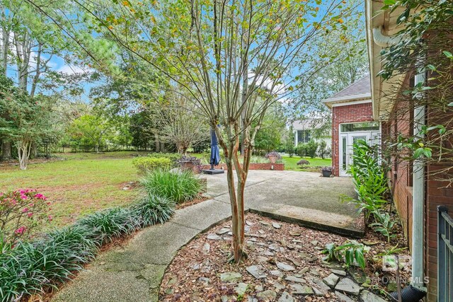 view of yard featuring a patio area