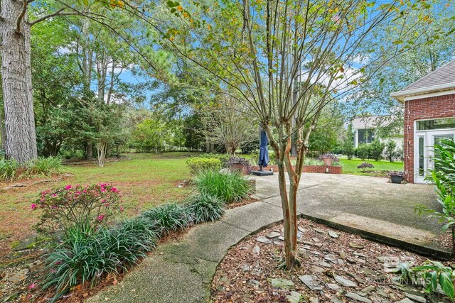 view of yard with a patio area