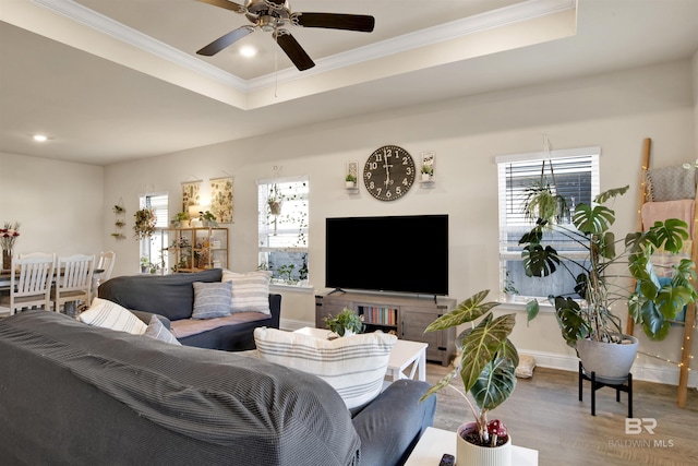 living room with a tray ceiling, ceiling fan, and hardwood / wood-style floors