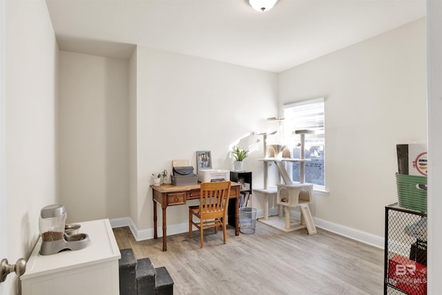 office space featuring light wood-type flooring