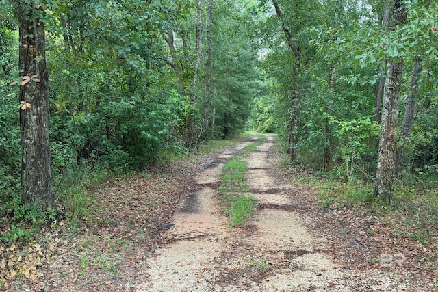 view of street featuring a wooded view