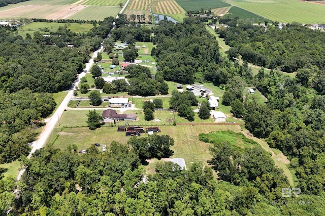 drone / aerial view featuring a rural view