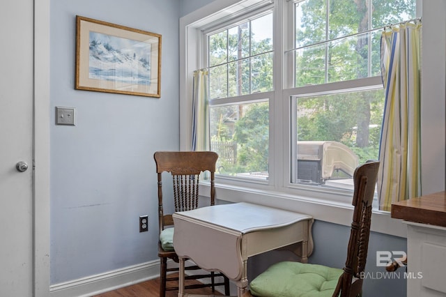 interior space with hardwood / wood-style flooring and a healthy amount of sunlight