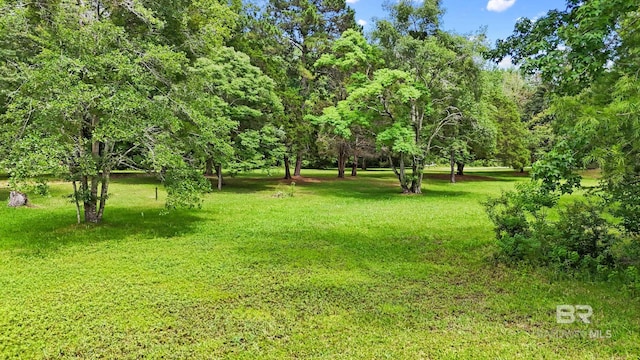 30640 Morris Ln, Spanish Fort, AL 36527