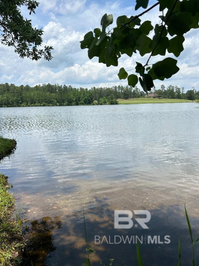 0 Lake Juniper Rd, Brewton AL, 36426 land for sale