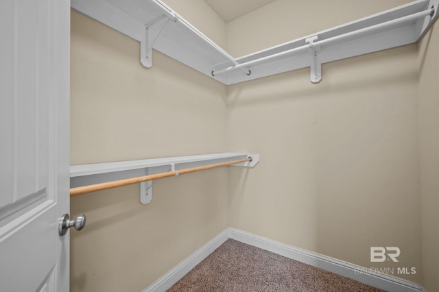 750 Cheswick Ave, Fairhope, AL 36532 - walk in closet featuring carpet