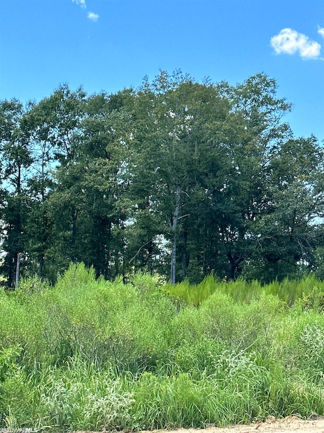 0 Hampton Rdg, Mobile, AL 36608