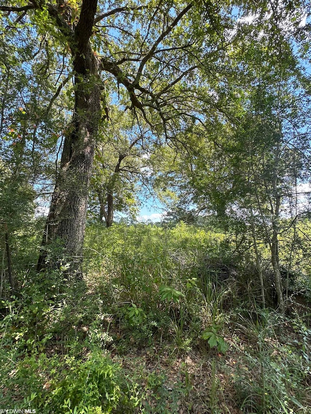 0 Hampton Rdg, Mobile, AL 36608