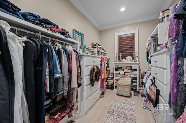 view of spacious closet