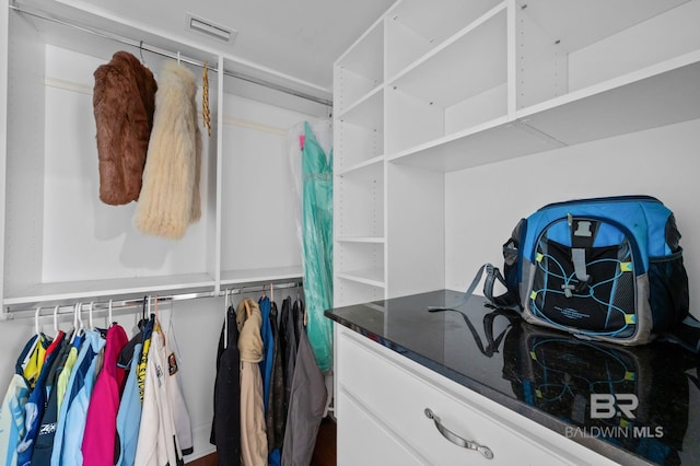 spacious closet with visible vents