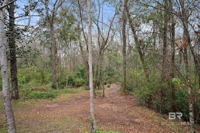 view of yard with a forest view