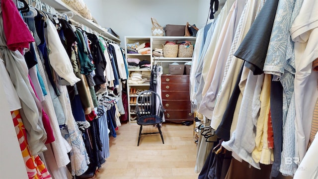 spacious closet with light hardwood / wood-style flooring