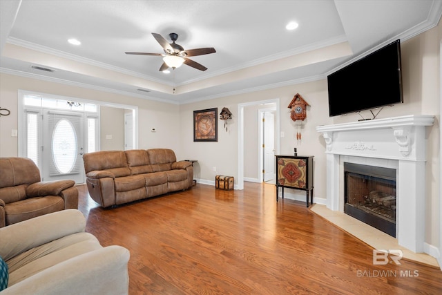 living room featuring a raised ceiling, ornamental molding, hardwood / wood-style flooring, and a fireplace