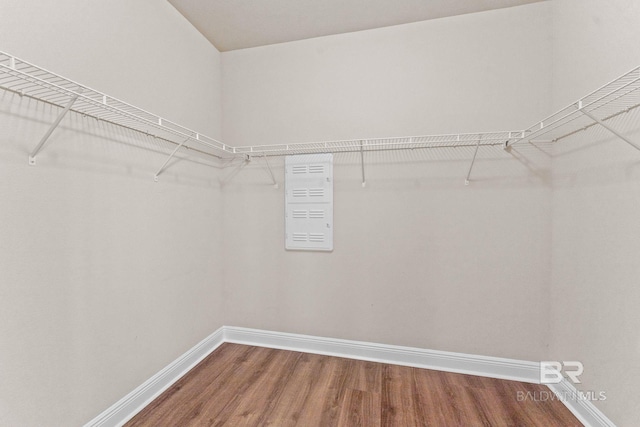 1464 Surrey Loop, Foley, AL 36535 - walk in closet with wood finished floors