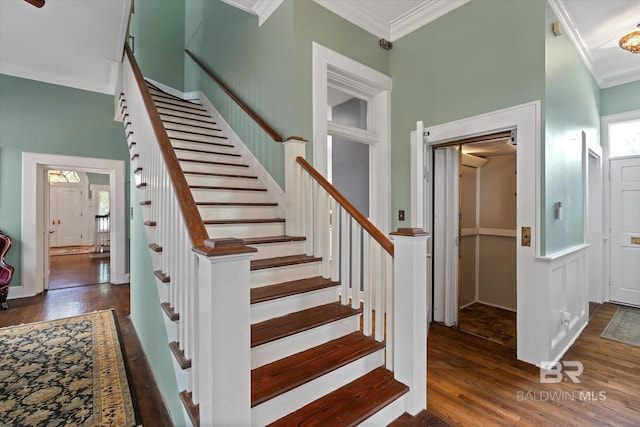 stairs with ornamental molding and wood-type flooring