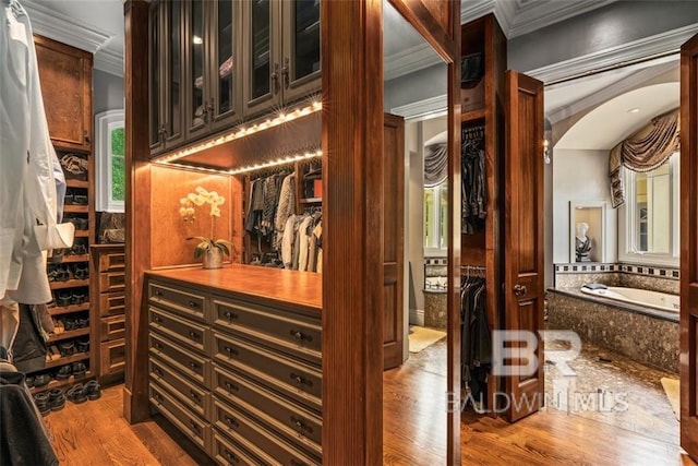 wine area with ornamental molding and hardwood / wood-style floors