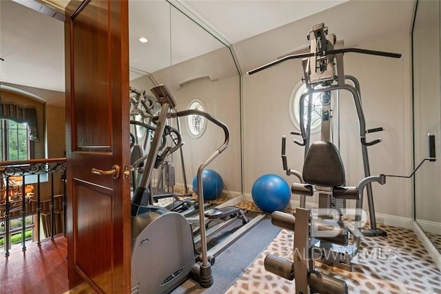 exercise room featuring wood-type flooring