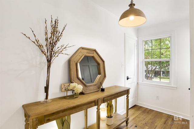 entryway with baseboards and wood finished floors