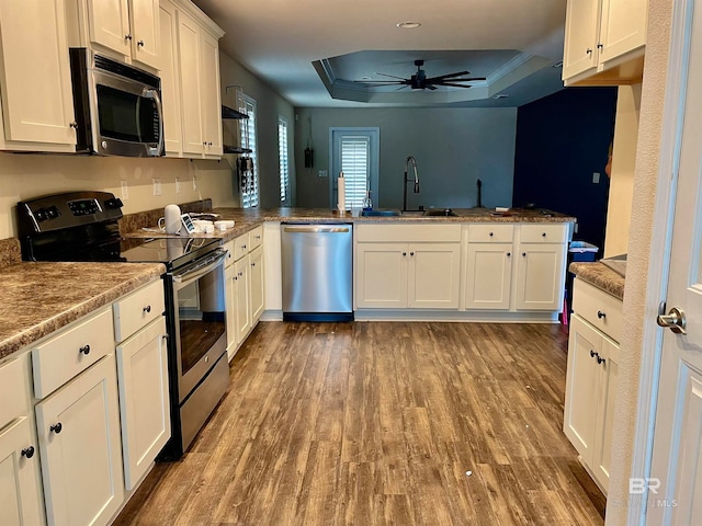 kitchen featuring light wood-type flooring, a sink, stainless steel appliances, a raised ceiling, and ceiling fan