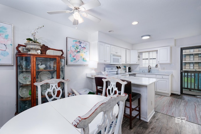 dining space with sink, wood-type flooring, and ceiling fan