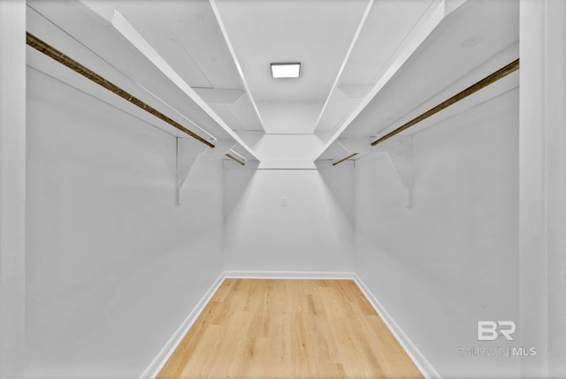18 Rollins Pl, Atmore, AL 36502 - walk in closet with light wood-style floors