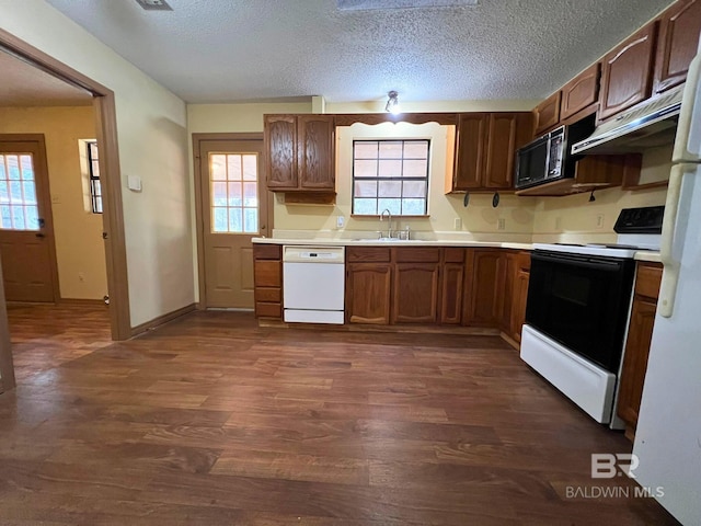 kitchen featuring sink, plenty of natural light, dark hardwood / wood-style floors, white dishwasher, and range with electric cooktop