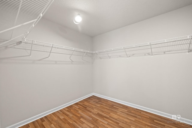 spacious closet with wood-type flooring