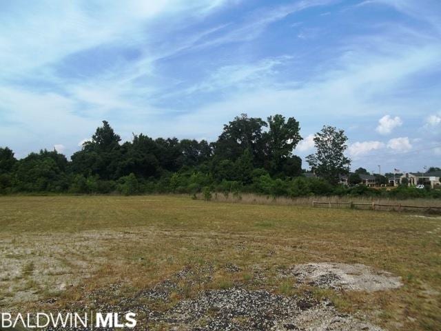 252 W Hwy 84, Monroeville AL, 36460 land for sale