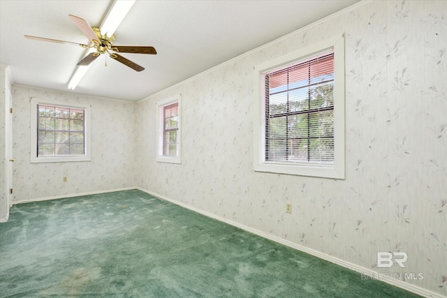 carpeted spare room with ceiling fan and plenty of natural light