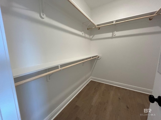 spacious closet featuring dark wood-type flooring