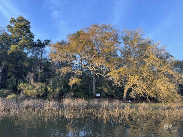 Kennedy Rd, Bon Secour, AL 36511
