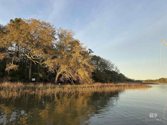 Kennedy Rd, Bon Secour, AL 36511