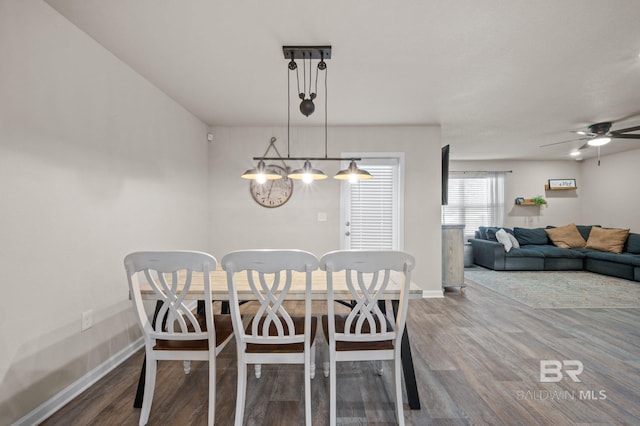 dining room featuring hardwood / wood-style flooring and ceiling fan