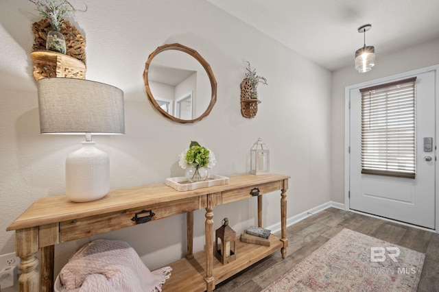 entrance foyer featuring hardwood / wood-style floors