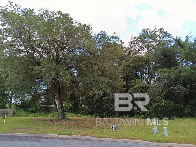 0 Upland Ct, Loxley AL, 36551 land for sale