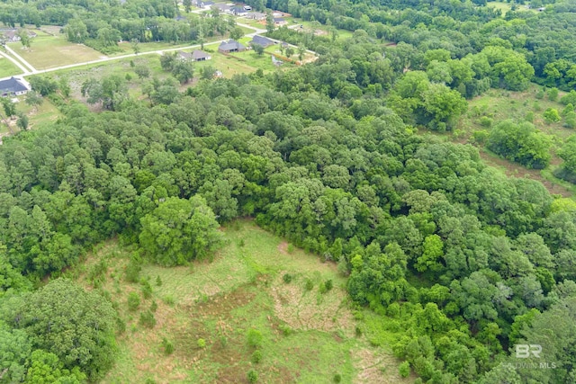 0 Deer Crest Ln, Mobile, AL 36695