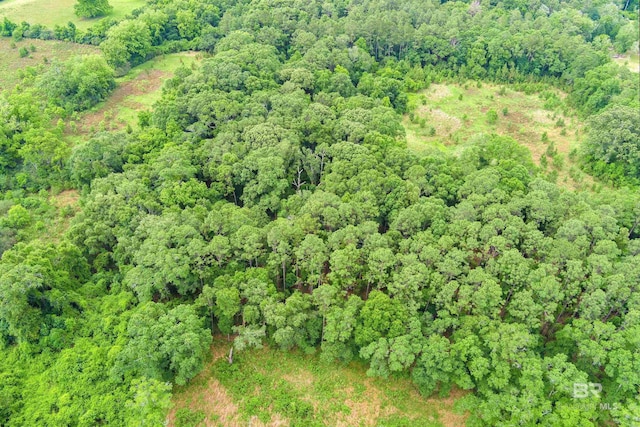 0 Deer Crest Ln, Mobile, AL 36695
