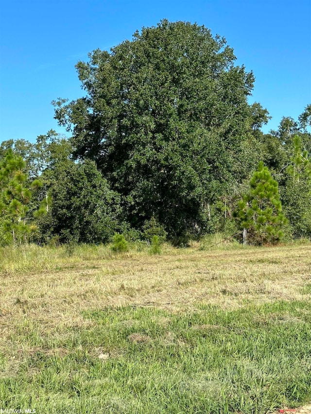 0 Hampton Rdg, Mobile AL, 36608 land for sale