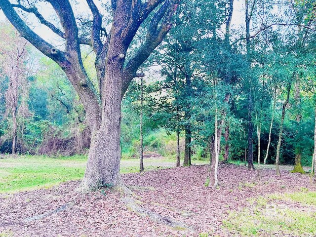 19744 County Road 9, Silverhill, AL 36576 - view of outbuilding