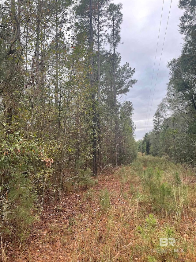 Listing photo 2 for 0 County Road 47, Perdido AL 36562