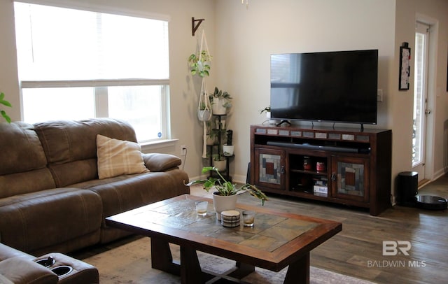 living room featuring wood-type flooring