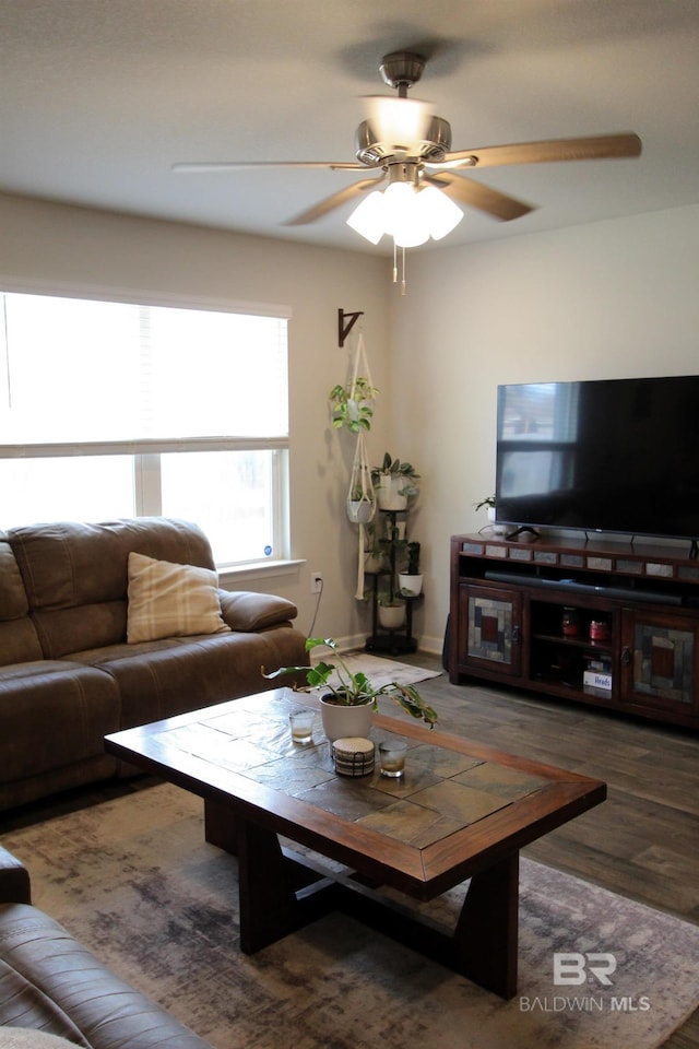 living room featuring ceiling fan and dark hardwood / wood-style flooring