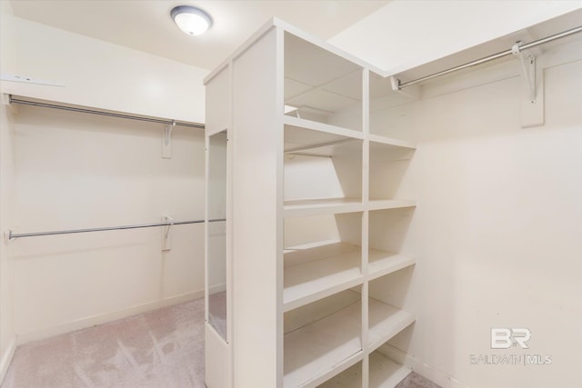 spacious closet featuring light colored carpet